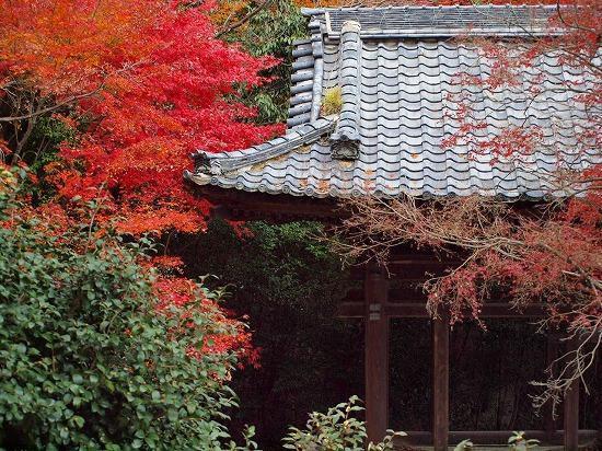 Guest House Hana Otsu Exterior photo